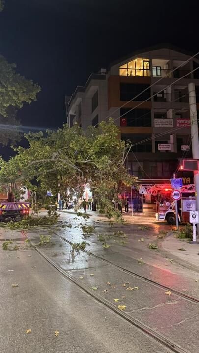 Tramvay hattına düşen dal seferleri aksattı