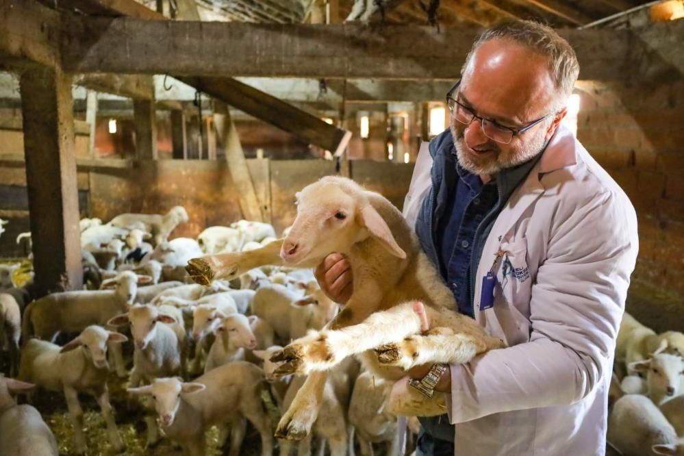 Tarım ve hayvancılığa 7 yılda 1,5 milyar lirayı aşkın destek sağlandı