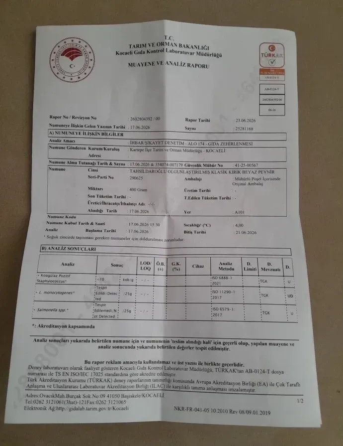 Kocaeli'de başlayan inceleme Türkiye'yi alarma geçirdi! Peynirlerde Listeria tespit edildi