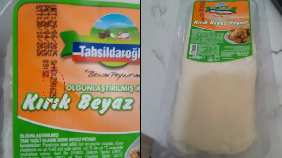 Kocaeli'de başlayan inceleme Türkiye'yi alarma geçirdi! Peynirlerde Listeria tespit edildi