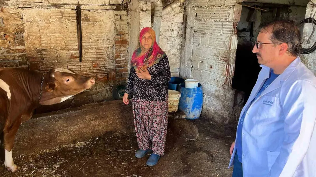 Kocaeli'de hayvancılığa yakın takip! Büyükşehir ekipleri işletmeleri tek tek geziyor
