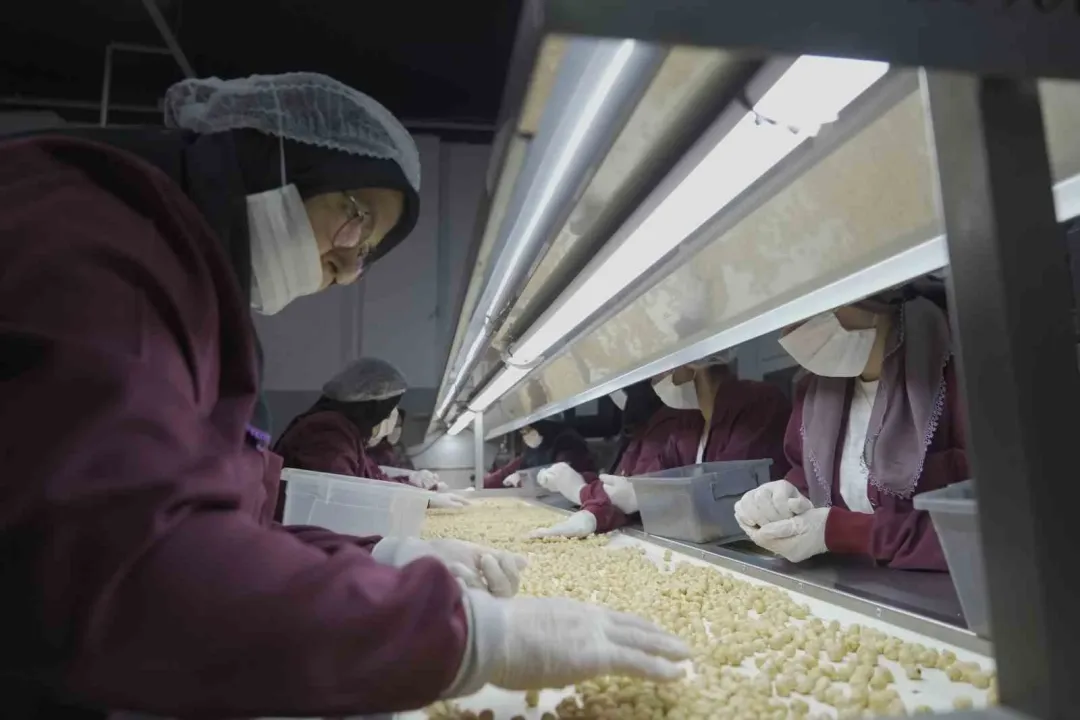 Bütün köy bu fabrikaya ortak
