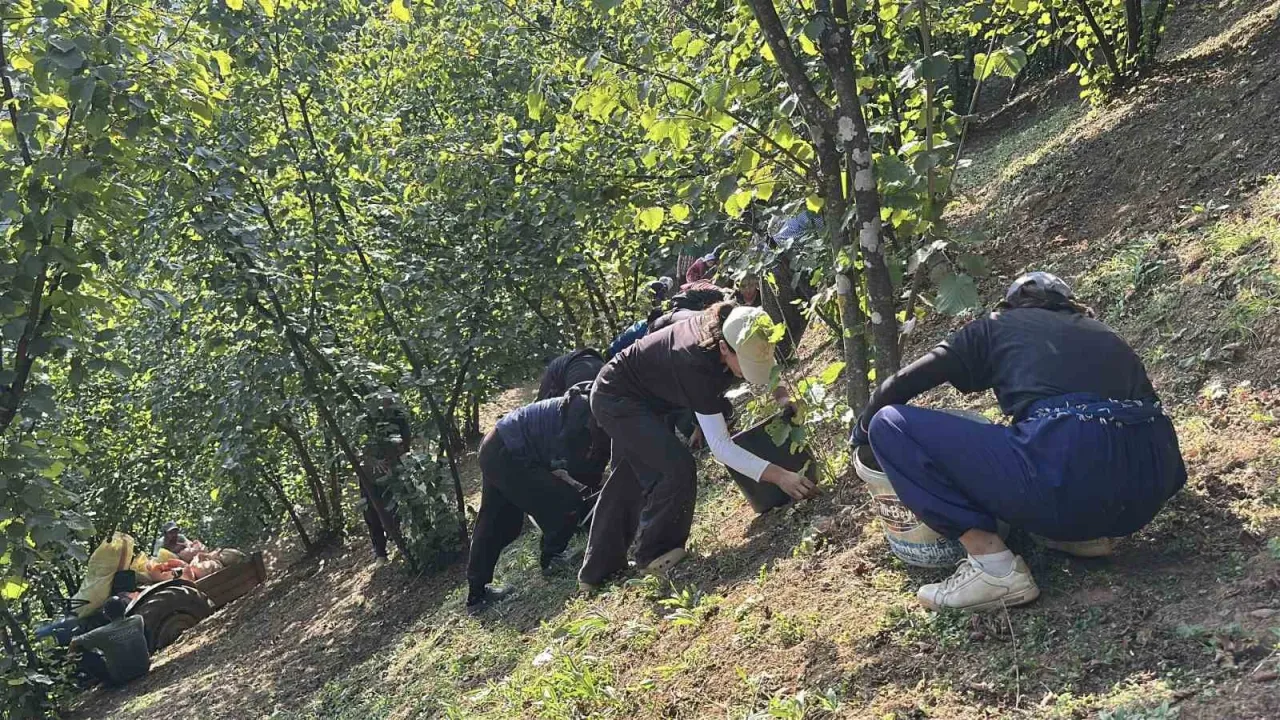 Bütün köy bu fabrikaya ortak