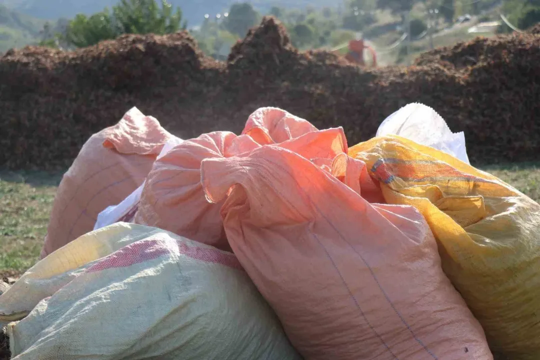 Bütün köy bu fabrikaya ortak